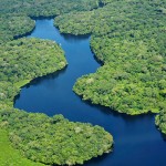 Cuidar los bosques es cuidar el agua de América Latina y el Caribe
