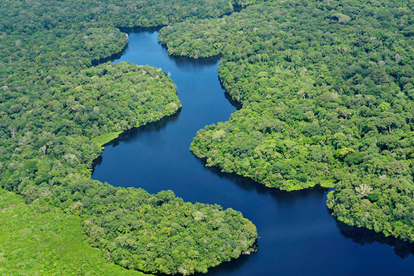Cuidar los bosques es cuidar el agua de América Latina y el Caribe