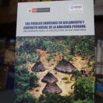 Ministerio de Cultura presentará libro “Los Pueblos Indígenas en Aislamiento y Contacto Inicial de la Amazonía peruana: mecanismos para la protección de sus derechos”