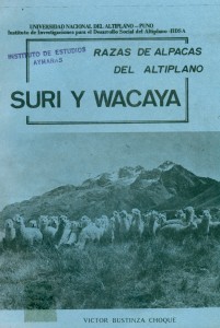 Suri y Wacaya. Razas de alpacas del Altiplano