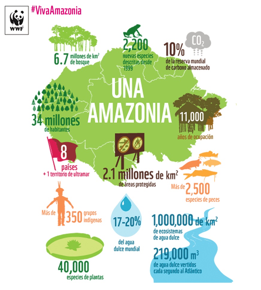 Organización WWF presentó “Informe Amazonía Viva 2016”