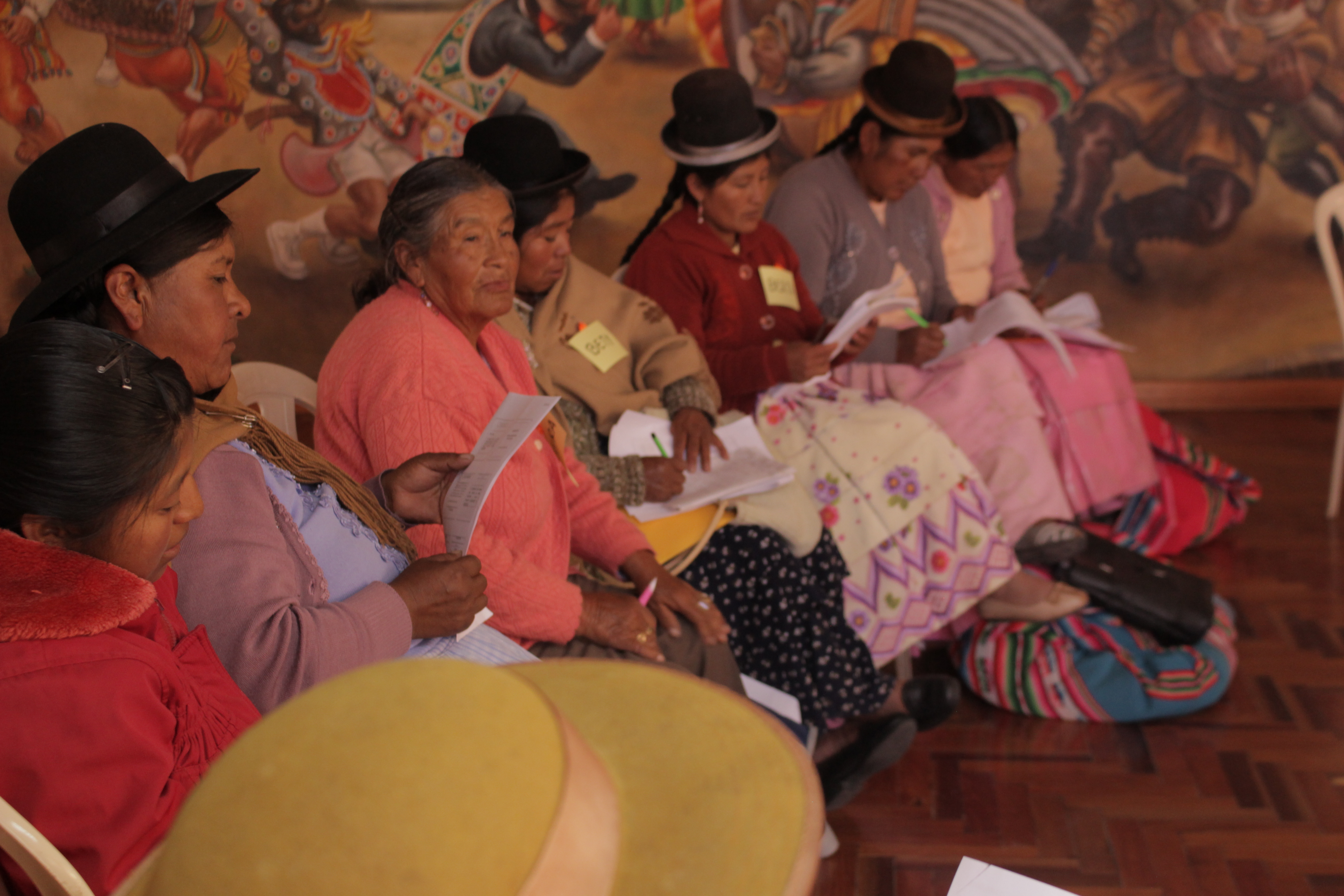 Curso de Actualización: “Fortalecimiento en Liderazgo y Participación Política de las Mujeres Indígenas” - I Unidad