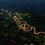 Grandes proyectos en la Amazonía y las prioridades de PPK / Escribe Marc Dourojeanni