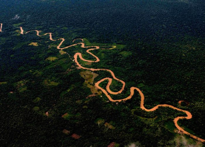 Grandes proyectos en la Amazonía y las prioridades de PPK / Escribe Marc Dourojeanni