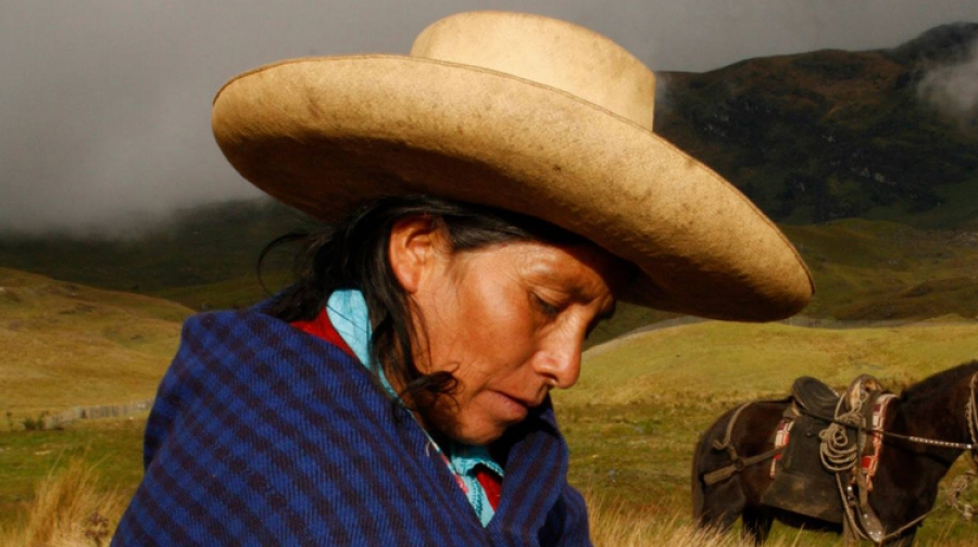 Informe ignoró pruebas presentadas ante la CIDH sobre violaciones a los derechos humanos de familia Chaupe Acuña