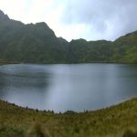 Proyecto de Ley para proteger cabeceras de cuenca pasará a discusión en el pleno del Congreso