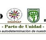 TALLER REGIONAL “Diálogo y Aportes a la Agenda Común de los Pueblos Indígenas u Originarios de la Región Puno”