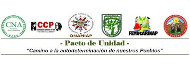TALLER REGIONAL “Diálogo y Aportes a la Agenda Común de los Pueblos Indígenas u Originarios de la Región Puno”