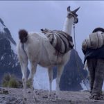 Perú estrena su primera película en lengua aymara