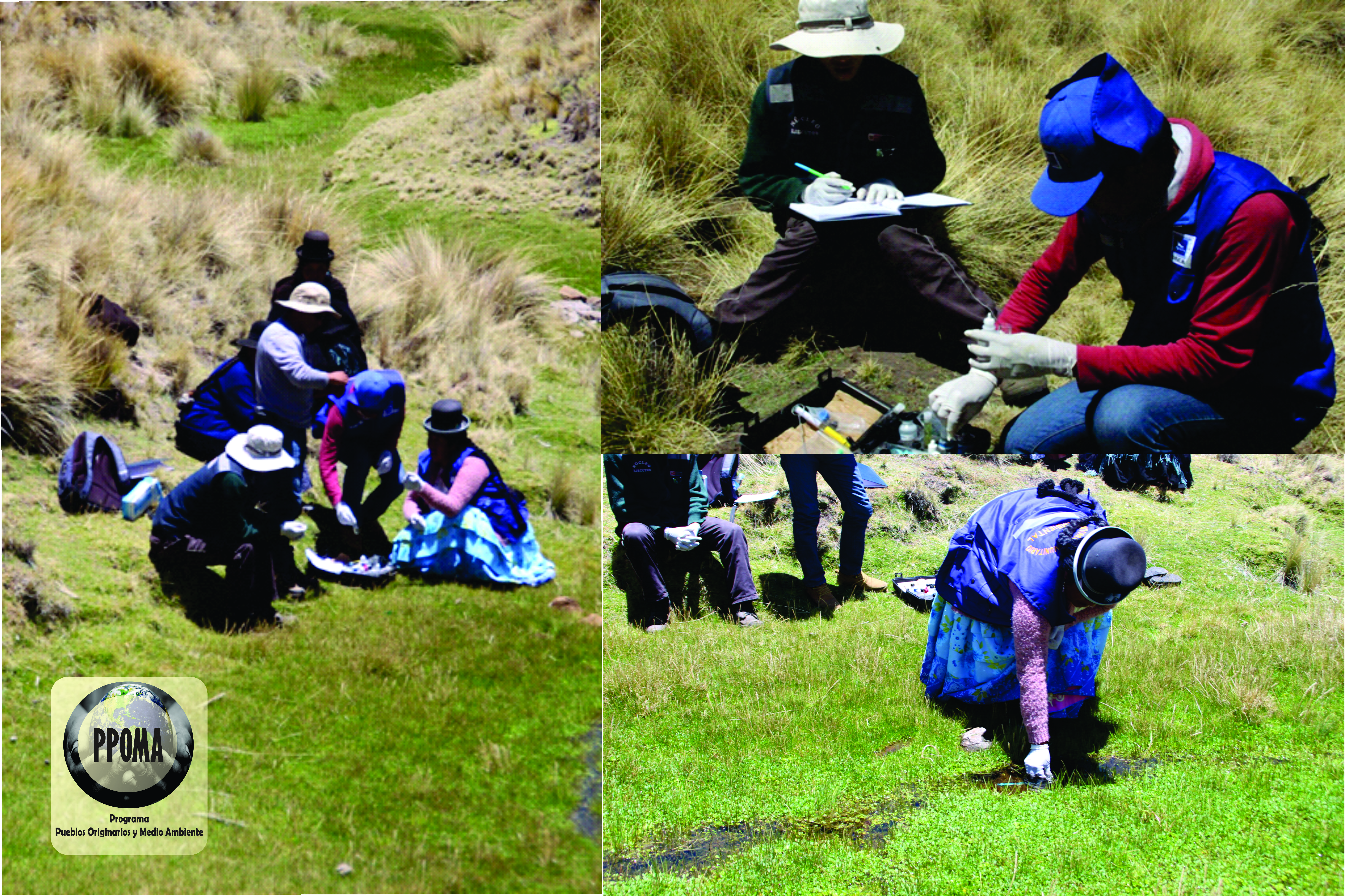 Realización del Cuarto Monitoreo Comunitario del Agua, en la Parcialidad Cóndor Ancocahua del Distrito de Huacullani.