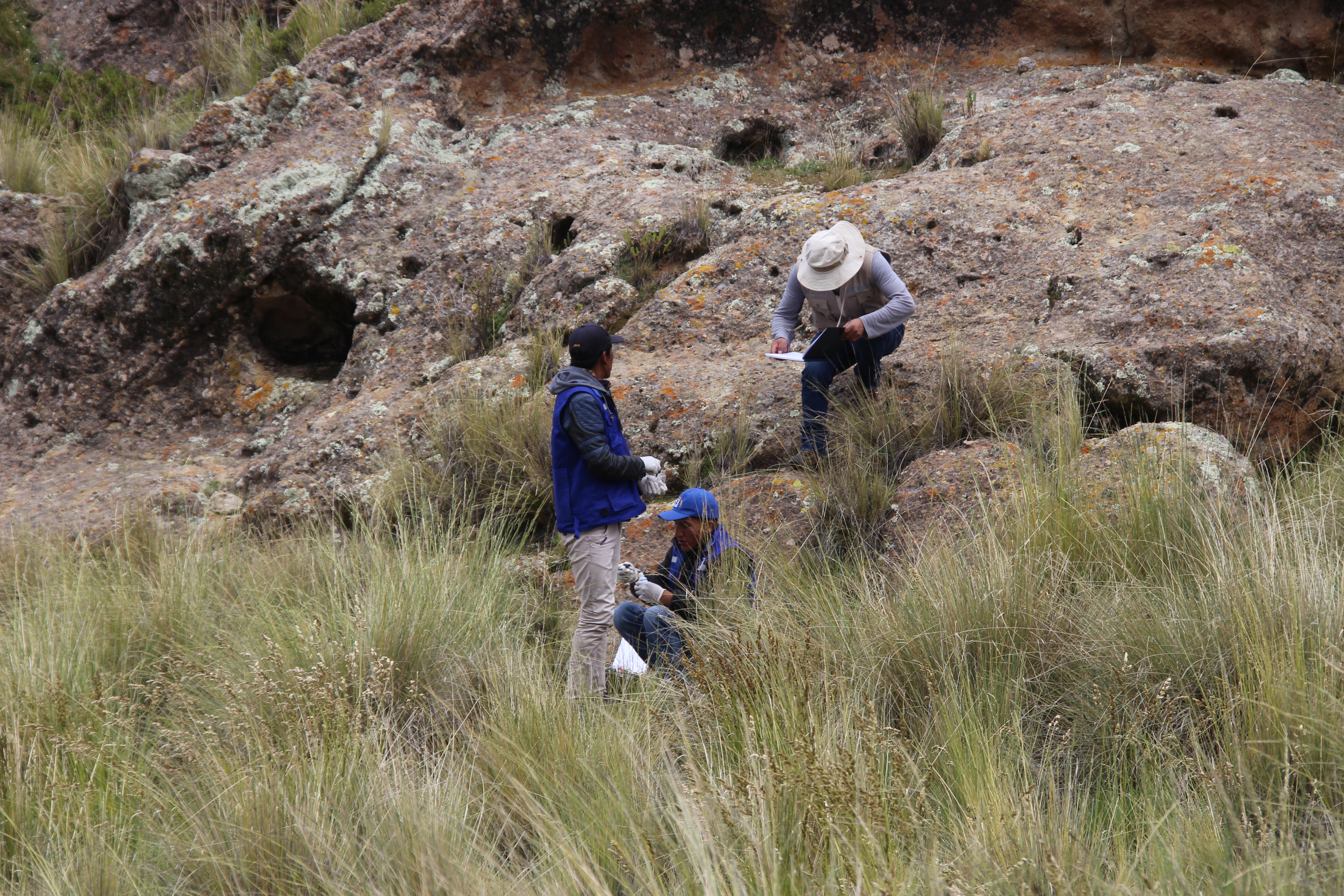 II Monitoreo Comunitario del Agua en la Parcialidad Cóndor Ancocahua Huacullani