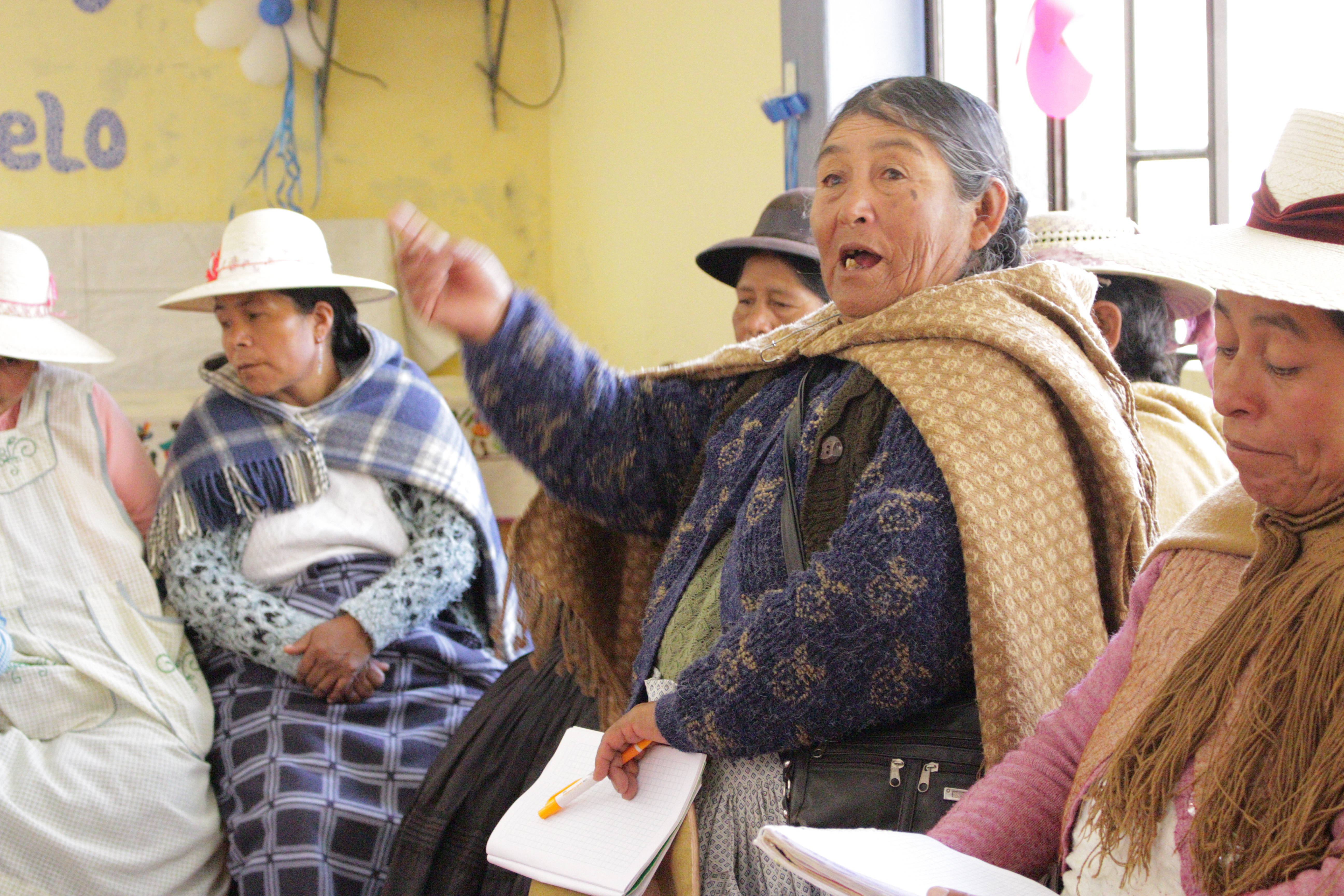 Juli: mujeres de diferentes sectores reflexionan en el Suma Qamaña (Buen Vivir)