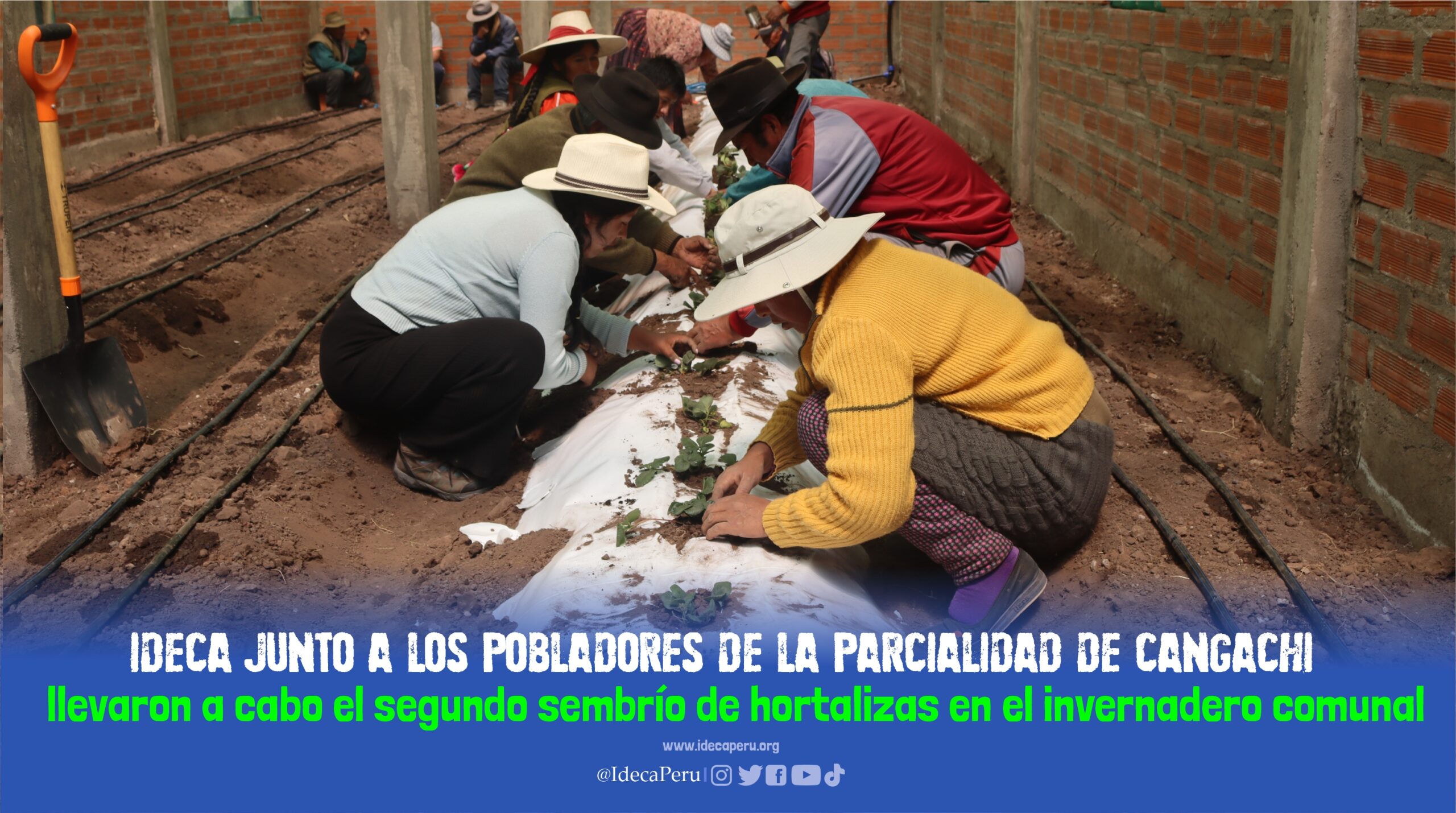 IDECA junto a los pobladores de la parcialidad de Cangachi llevaron a cabo el segundo sembrío de hortalizas en el invernadero comunal