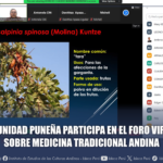 COMUNIDAD PUNEÑA PARTICIPA EN EL FORO VIRTUAL SOBRE MEDICINA TRADICIONAL ANDINA