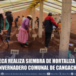 IDECA REALIZA SIEMBRA DE HORTALIZA EN INVERNADERO COMUNAL DE CANGACHI