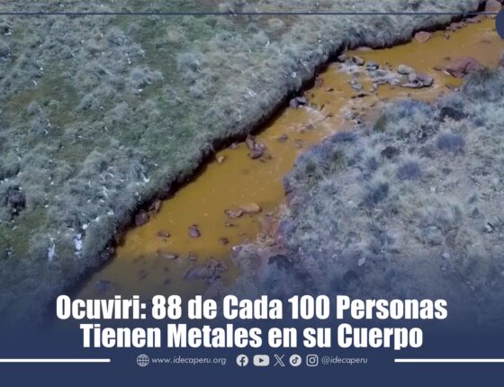 Ocuviri: 88 de Cada 100 Personas Tienen Metales en su Cuerpo