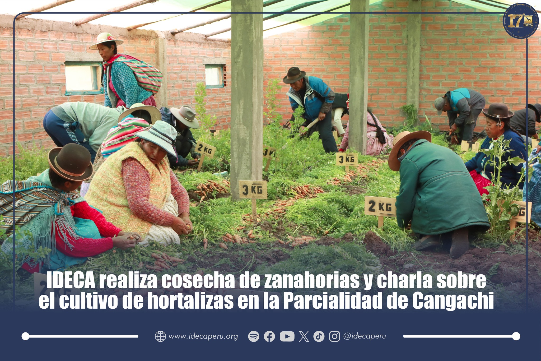 IDECA realiza cosecha de zanahorias y charla sobre el cultivo de hortalizas en la Parcialidad de Cangachi