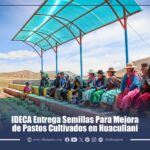 IDECA Entrega Semillas Para Mejora de Pastos Cultivados en Huacullani 