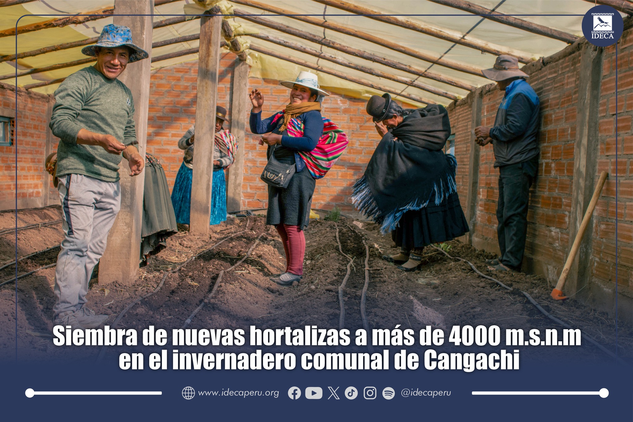 Cangachi | Siembra de nuevas hortalizas a más de 4000 m.s.n.m. en el invernadero comunal de Cangachi